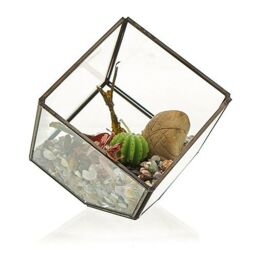 KDMD Glass Terrarium - Cube on Corner in Brown - thumbnail 2