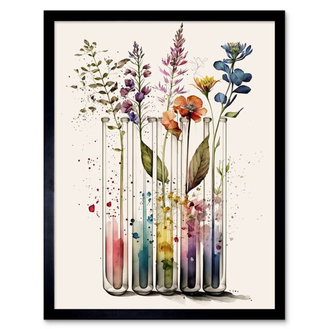 "Artery8 Wall Art Print Wildflowers Rainbow Colour Water Glass Test Tubes Art Framed in Black - Size: W12"" x H16""" - image 1