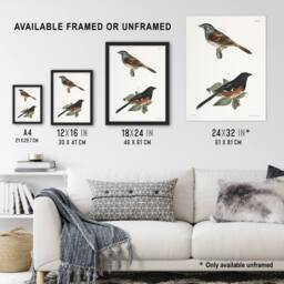 Artery8 James Ellsworth De Kay Swamp Finch & Chewink Framed Wall Art Print in White - Size: A4 - thumbnail 3