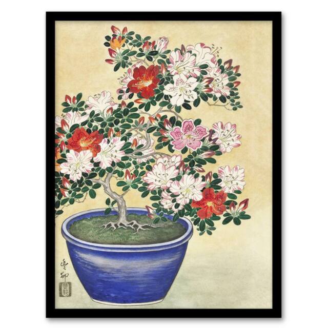 Artery8 Blooming Azalea In Blue Pot Vintage Japan Framed Wall Art Print Koson in Yellow - Size: A4 - image 1