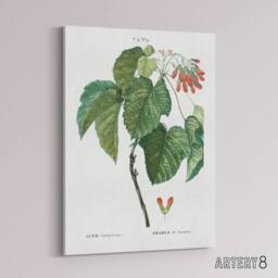 "Artery8 Acer Tataricum Botanical Redoute Vintage Canvas Wall Art in White - Size: W18"" x H24""" - thumbnail 2