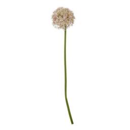 Lemon Pavilion Furniture and Decor Medium Allium (Single Stem Flower), Plastic, L16 x W16 x H80 cm, Lilac - thumbnail 1
