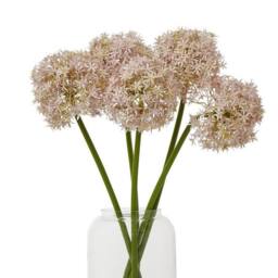 Lemon Pavilion Furniture and Decor Medium Allium (Single Stem Flower), Plastic, L16 x W16 x H80 cm, Lilac - thumbnail 3