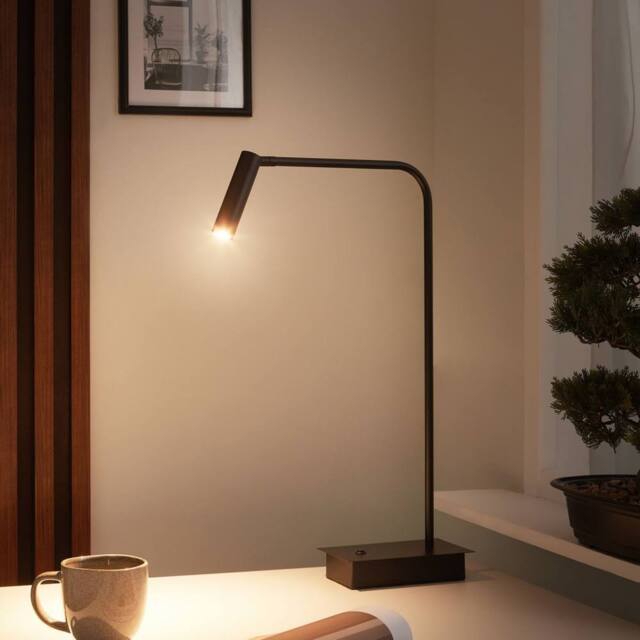 Wyld and Coco Black Metal LED Desk Lamp with Adjustable Shade - image 1
