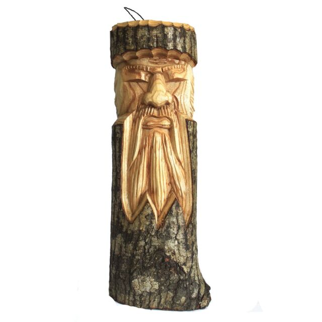 KDMD Old Man Tree 50x13x6cm in Brown - Size: 50 x 13 x 6 cm - image 1