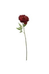 KDMD Glamis Single Peony Dark Red 62cm 2 Pack - thumbnail 7
