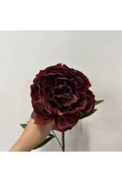 KDMD Glamis Single Peony Dark Red 62cm 2 Pack - thumbnail 5