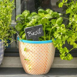 Nicola Spring Hand-Printed Plant Pots - 14cm - Pack of 6 in Orange - thumbnail 5