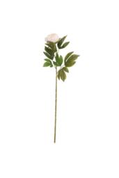KDMD Peony Cream 2 Pack White Artificial Flowers