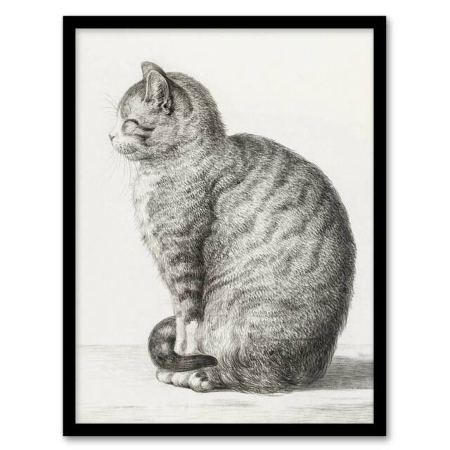 Artery8 Sitting Smiling Cat Pencil Drawing Bernard Framed Wall Art Print in White - Size: A4 - image 1