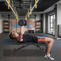 Havendro Foldable Dumbbell Bench Adjustable Weight Bench Lifting For Gym in Black - thumbnail 6
