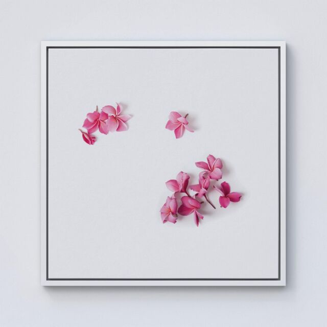 Warren Reed - Designer Pink Frangipani Flowers Framed Canvas in Off-White - Size: w10 inch x h10 inch - image 1
