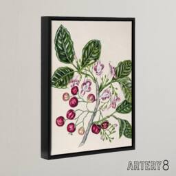 "Artery8 New Zealand Puriri Vitex Lucens Flowers Featon Framed Canvas Wall Art in Beige - Size: W12"" x H16""" - thumbnail 2