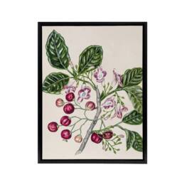 "Artery8 New Zealand Puriri Vitex Lucens Flowers Featon Framed Canvas Wall Art in Beige - Size: W12"" x H16""" - thumbnail 1