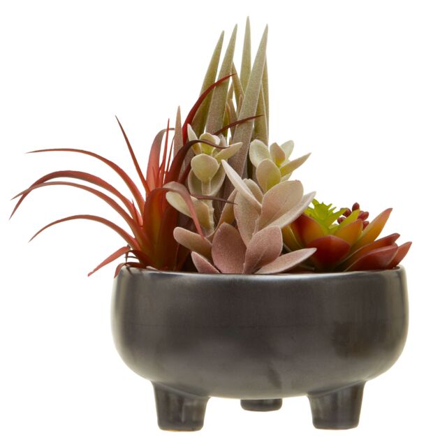 Orsina Mixed Faux Succulents In Grey Ceramic Pot, Southwestern Farmhouse Style Artificial Plants, Nature-Inspired - image 1