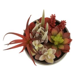 Orsina Mixed Faux Succulents In Grey Ceramic Pot, Southwestern Farmhouse Style Artificial Plants, Nature-Inspired - thumbnail 2