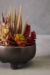 Orsina Mixed Faux Succulents In Grey Ceramic Pot, Southwestern Farmhouse Style Artificial Plants, Nature-Inspired - thumbnail 5