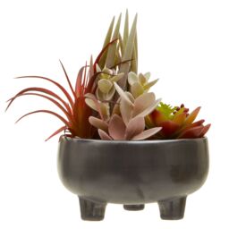 Orsina Mixed Faux Succulents In Grey Ceramic Pot, Southwestern Farmhouse Style Artificial Plants, Nature-Inspired - thumbnail 1