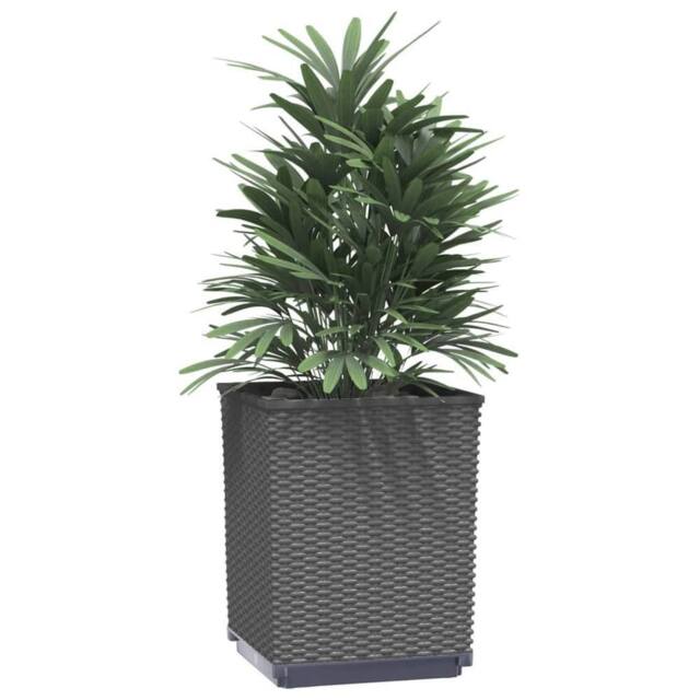 Berkfield Home Planters 2 pcs Black 30x30x37 cm Polypropylene - Size: 30 x 30 x 37 cm - image 1