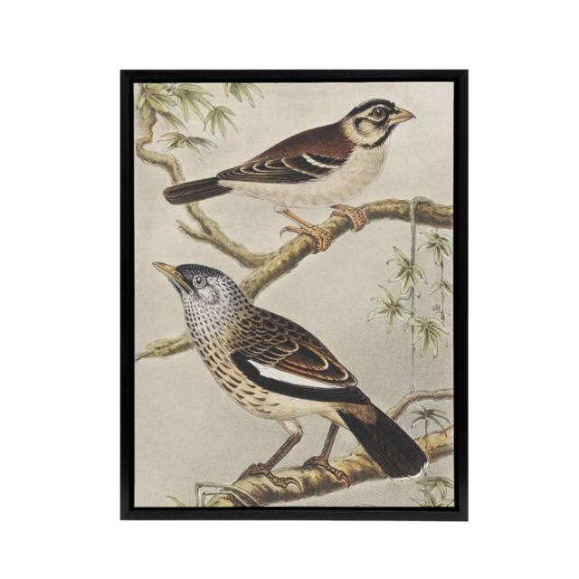 "Artery8 Two Birds on Tree Branches Framed Canvas Wall Art Print van Hoytema - Size: W12"" x H16""" - image 1