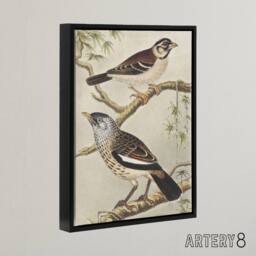 "Artery8 Two Birds on Tree Branches Framed Canvas Wall Art Print van Hoytema - Size: W12"" x H16""" - thumbnail 2