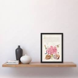 Artery8 Model Book of Calligraphy Framed Wall Art Carnation Walnut & Mollusk in White - Size: A4 - thumbnail 2