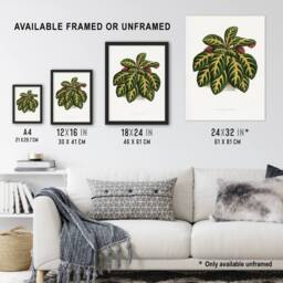 Artery8 AF Lydon B Fawcett Eranthemum Igneum Golden Vein Plant Framed Art in White - Size: A4 - thumbnail 3