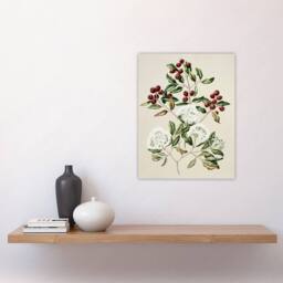 "Artery8 New Zealand Maire Tawake Tree Flowers Featon Wall Art Poster Print in Beige - Size: W18"" x H24""" - thumbnail 4