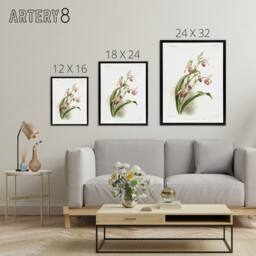 "Artery8 Frederick Sander Selenipedium Weidlichianum Orchid Framed Canvas Art - Size: W12"" x H16""" - thumbnail 4