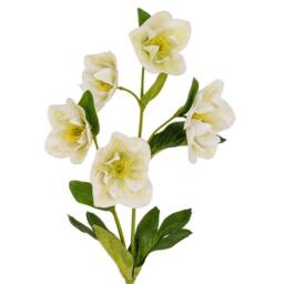 Lemon Pavilion Furniture and Decor White Hellebore Stem Artificial Flower - Plastic - H45 cm - White - thumbnail 2
