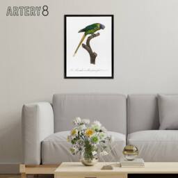 "Artery8 Female Plum Headed Parakeet Levaillant Framed Canvas Wall Art Print in White - Size: W12"" x H16""" - thumbnail 3