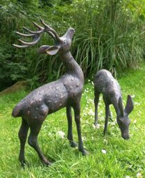 Inspirational Gifting Medium Stag & Doe Deer Sculptures Garden Ornaments in Bronze - thumbnail 4