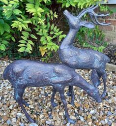 Inspirational Gifting Medium Stag & Doe Deer Sculptures Garden Ornaments in Bronze - thumbnail 5
