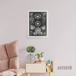 "Artery8 Ascomycetes Fungi Species Vintage Haeckel Canvas Wall Art in Black - Size: W18"" x H24""" - thumbnail 3