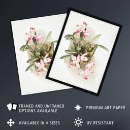 Artery8 F Sander Laelia Autumnalis Xanthotropis Orchid Framed Wall Art Print - Size: A4 - thumbnail 2