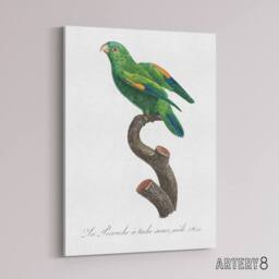 "Artery8 The Marigold Lorikeet Parrot Levaillant Canvas Wall Art Print in White - Size: W18"" x H24""" - thumbnail 2