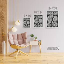 "Artery8 Ammonite Fossil Cephalopods Haeckel Botanical Canvas Wall Art in Black - Size: W18"" x H24""" - thumbnail 4