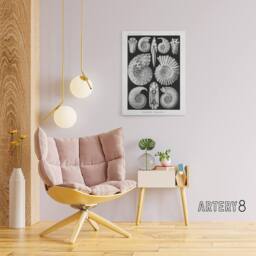 "Artery8 Ammonite Fossil Cephalopods Haeckel Botanical Canvas Wall Art in Black - Size: W18"" x H24""" - thumbnail 3