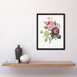 Artery8 Anemone & Cabbage Rose Flower Redoute Vintage Framed Wall Art Print in White - Size: A4 - thumbnail 4