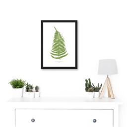 Artery8 Fern Polypodium Catharinae Nature Plant Life Botanical Artwork Framed Wall Art Print A4 in Black - thumbnail 2
