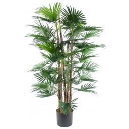 Leaf Artificial 120cm Fan Palm Tree in Green