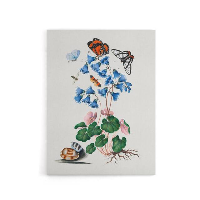 "Artery8 Soldanella Flower & Butterflies Bolton Canvas Wall Art in White - Size: W18"" x H24""" - image 1
