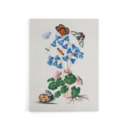 "Artery8 Soldanella Flower & Butterflies Bolton Canvas Wall Art in White - Size: W18"" x H24""" - thumbnail 1