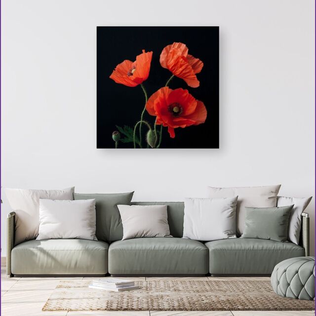 Warren Reed - Designer Poppies Canvas - Size: w40 inch x h40 inch - image 1