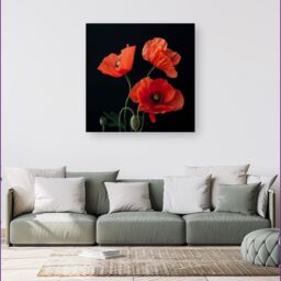 Warren Reed - Designer Poppies Canvas - Size: w40 inch x h40 inch - thumbnail 1