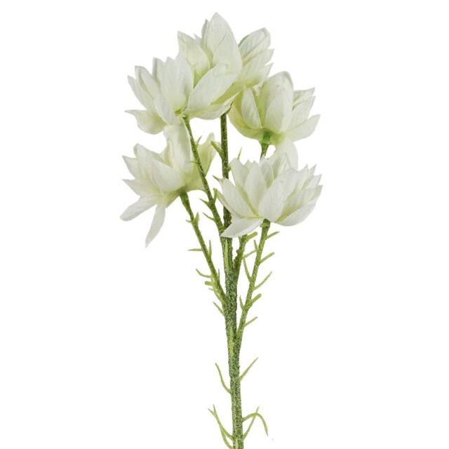 Leaf 60cm Artificial White Starflower Stem 5 Flowers - image 1