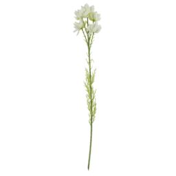 Leaf 60cm Artificial White Starflower Stem 5 Flowers - thumbnail 2