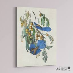 "Artery8 Florida Jay & Persimmon Tree Audubon Nature Canvas Wall Art in White - Size: W18"" x H24""" - thumbnail 2