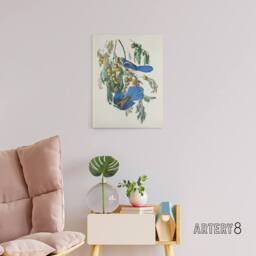 "Artery8 Florida Jay & Persimmon Tree Audubon Nature Canvas Wall Art in White - Size: W18"" x H24""" - thumbnail 3