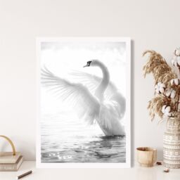 ARTZE Graceful Swan Bird Black & White Photo Framed Print SIZE: A2 with White Frame - thumbnail 2